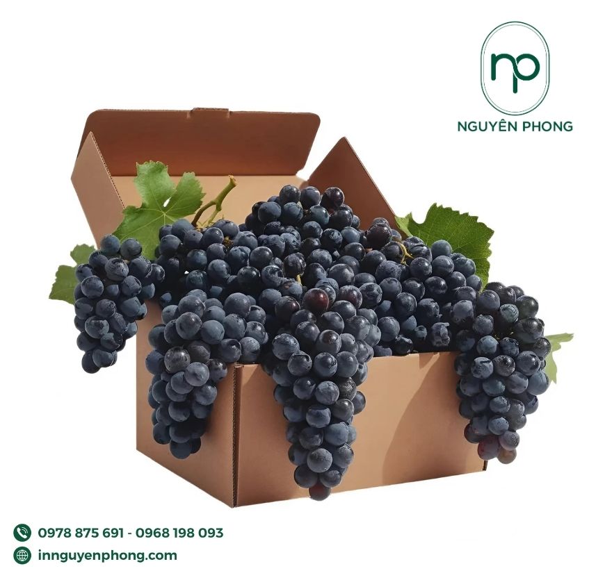 mau-thung-carton-dung-nho-pho-bien